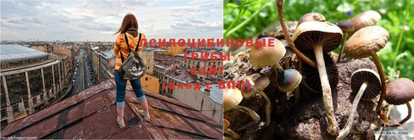 ешки Нягань