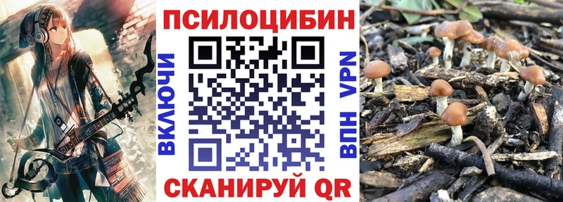 Псилоцибиновые грибы Magic Shrooms Тырныауз